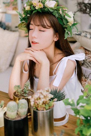 新澳天天彩开好彩大全